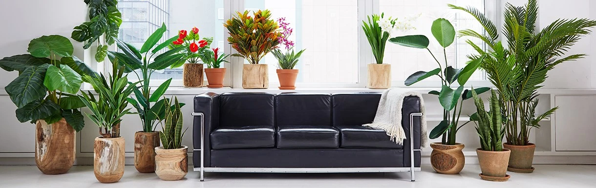 product-1220-385